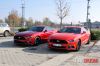 Stang12.jpg
