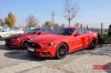 Stang17.jpg