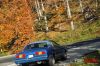 Stang24.jpg