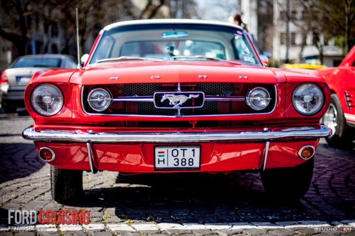 Fotó: Studio Red
