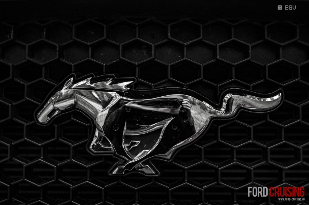 Fotó: BGV Productions

https://www.facebook.com/bgvproductions/
