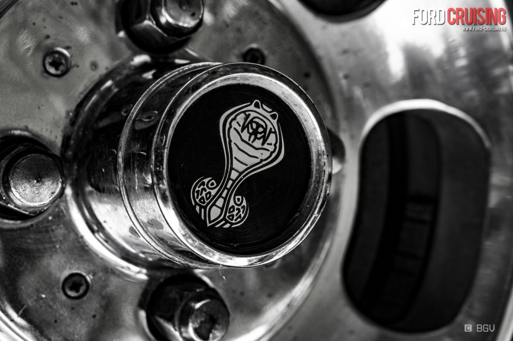 Fotó: BGV Productions

https://www.facebook.com/bgvproductions/
