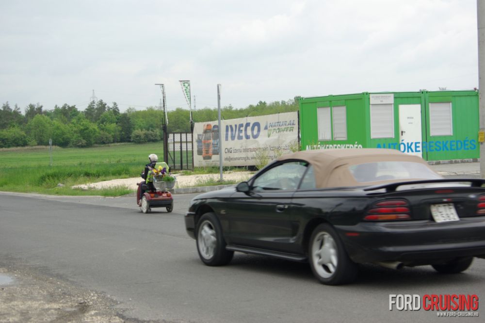Fotó: Hédi
