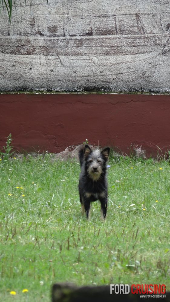 Fotó: pechancili
