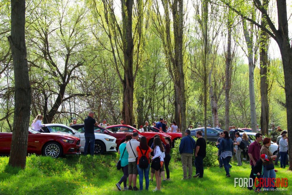 Fotó: Marton Fanni
