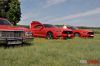 picnic005.jpg