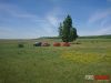 Fájlnév=picnic028.jpg
Fájlméret=217KiB
Méretek=1280x960
Hozzáadás dátuma=2018 Május 1. picnic028.jpg