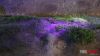 sh0228.jpg
