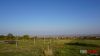 sh0367.jpg