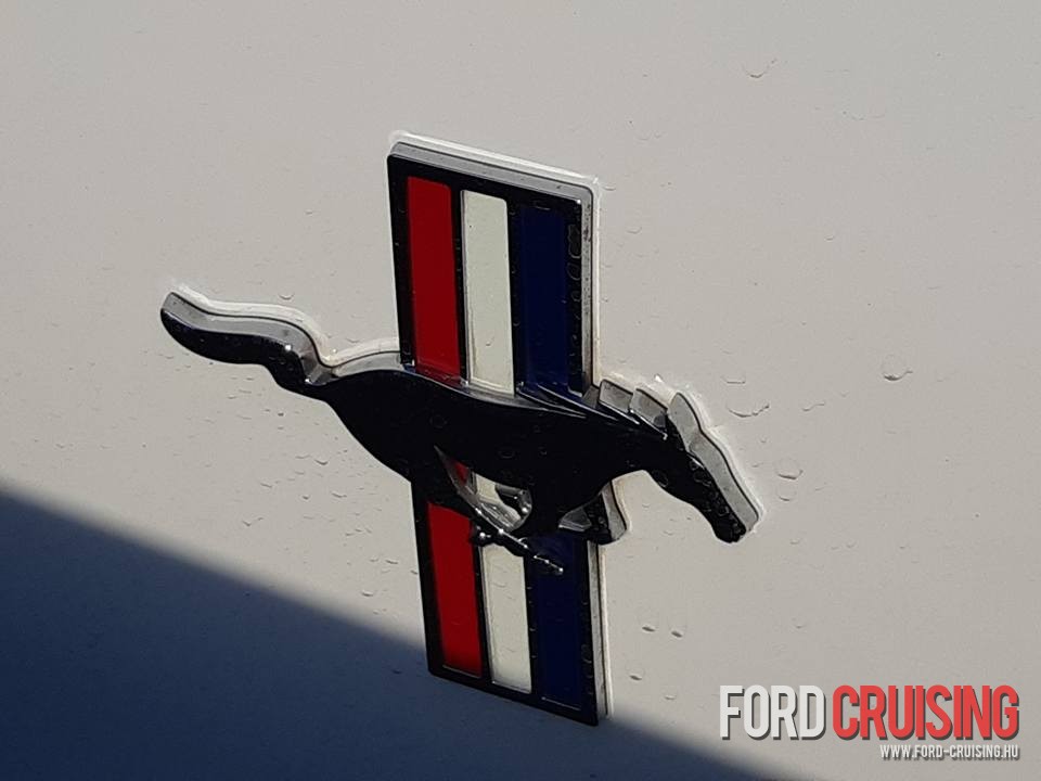 2018.05.25

Fotó: Simon László
