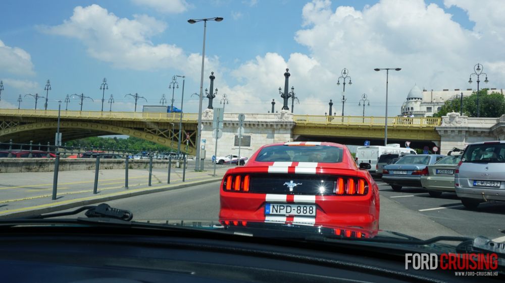 Fotó: PechanCili

