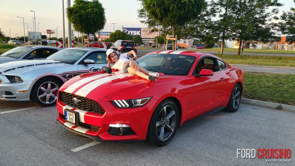 2019.06.14.

kopaszkrapek
