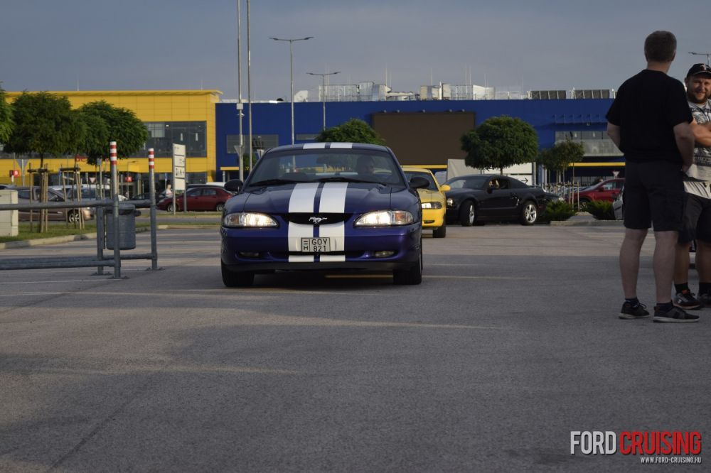 fp0130.jpg