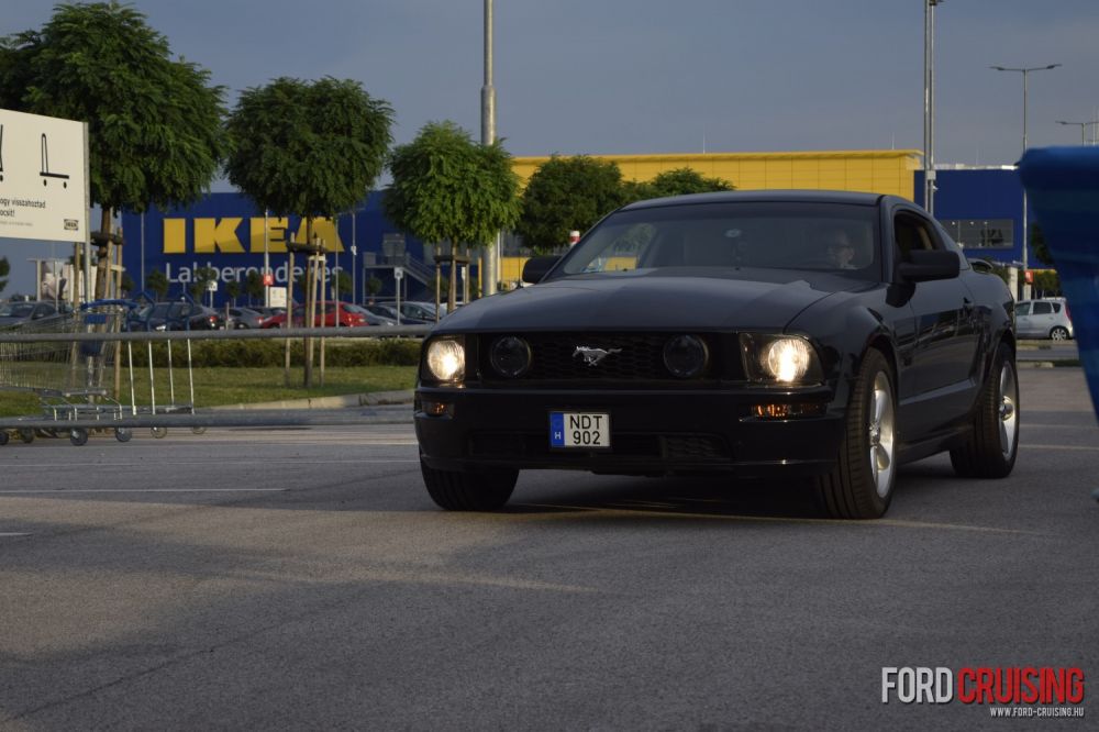 fp0131.jpg