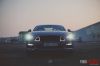 Mustang11.jpg