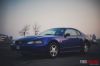 Mustang27.jpg