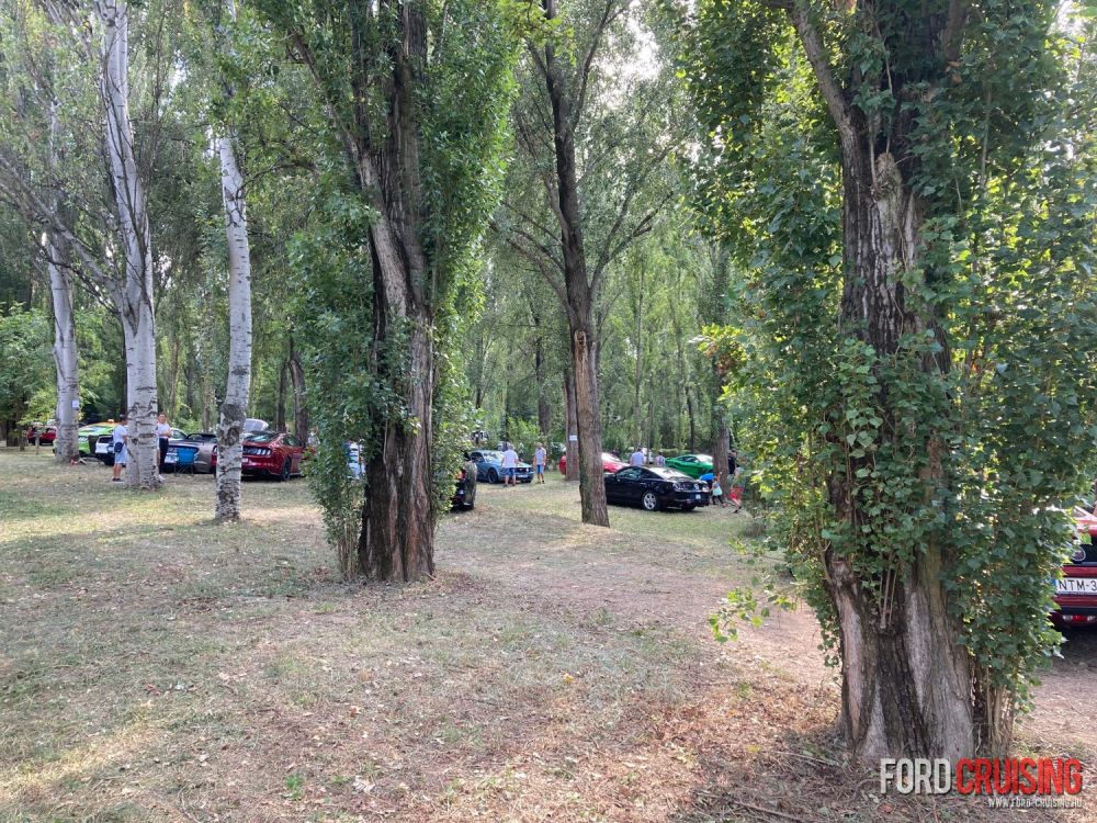 Fotó: Kovács Béla
