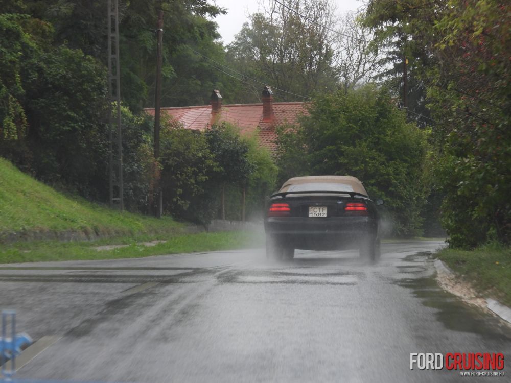 Fotó: pechancili
