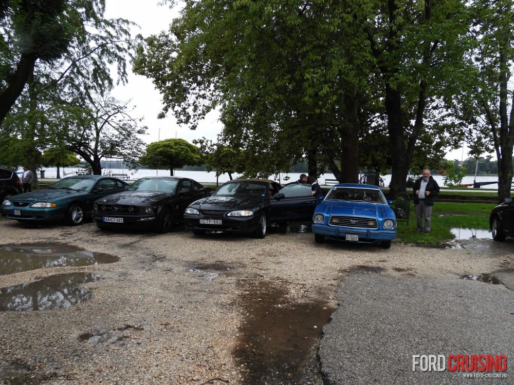 Fotó: pechancili
