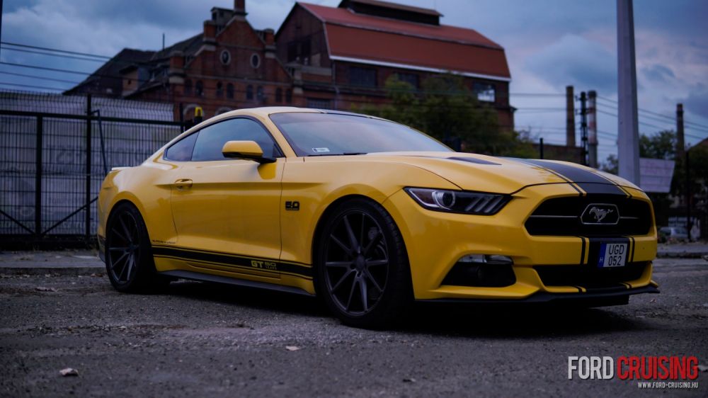 2025.10.10. - Hop Top Beer&Burger Brewpub

Fotó: Paulusz Levente
