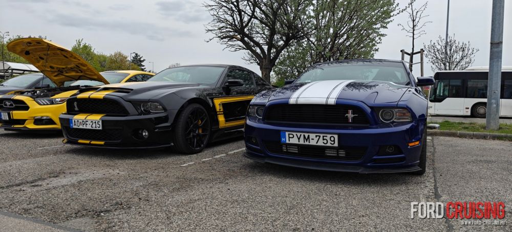 2026.04.10. - Burger King, Budakalász

Fotó: TomiTomi
