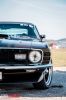 stang03.jpg