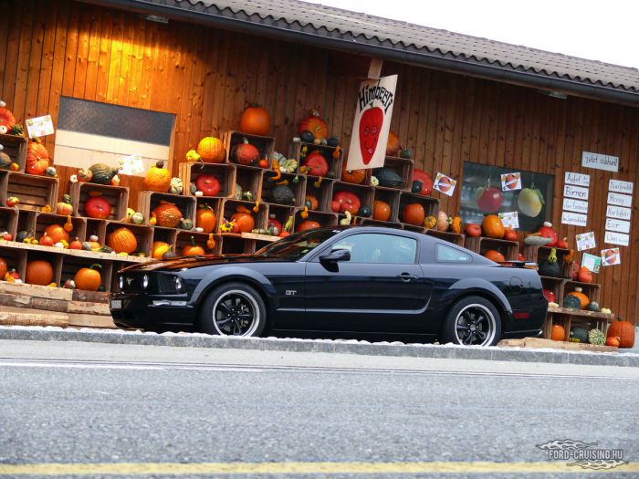HelloStang01.jpg