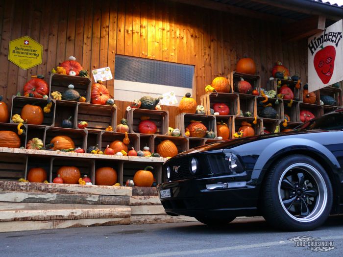 HelloStang04.jpg