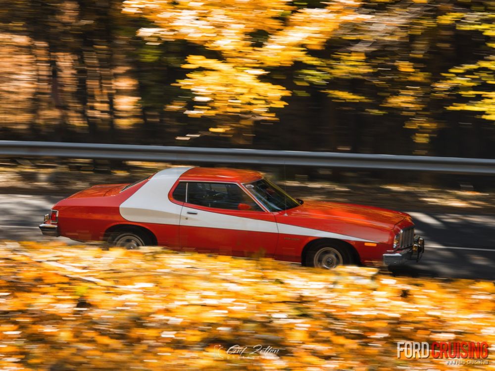 Fotó: Gut Zoltán Photography
