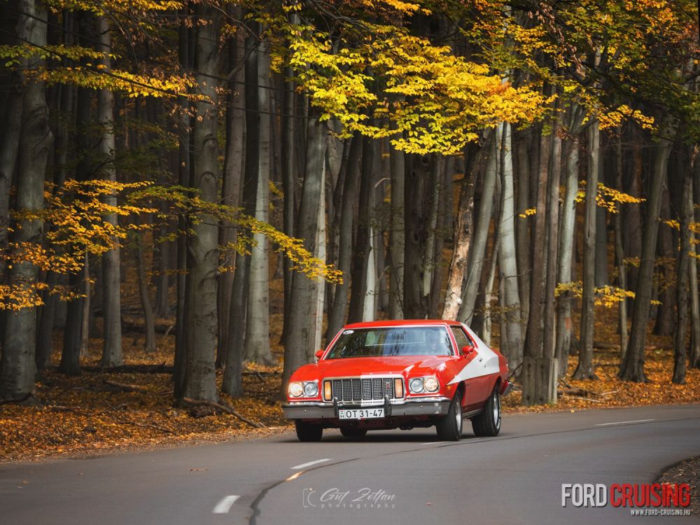 Fotó: Gut Zoltán Photography
