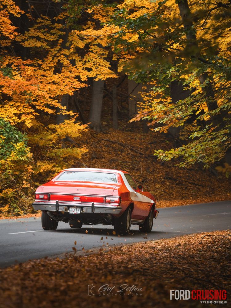 Fotó: Gut Zoltán Photography
