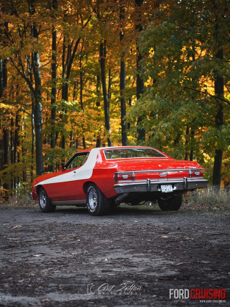 Fotó: Gut Zoltán Photography
