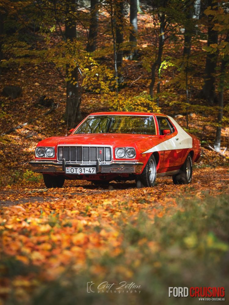 Fotó: Gut Zoltán Photography
