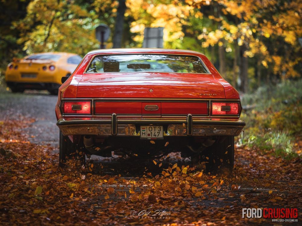 Fotó: Gut Zoltán Photography
