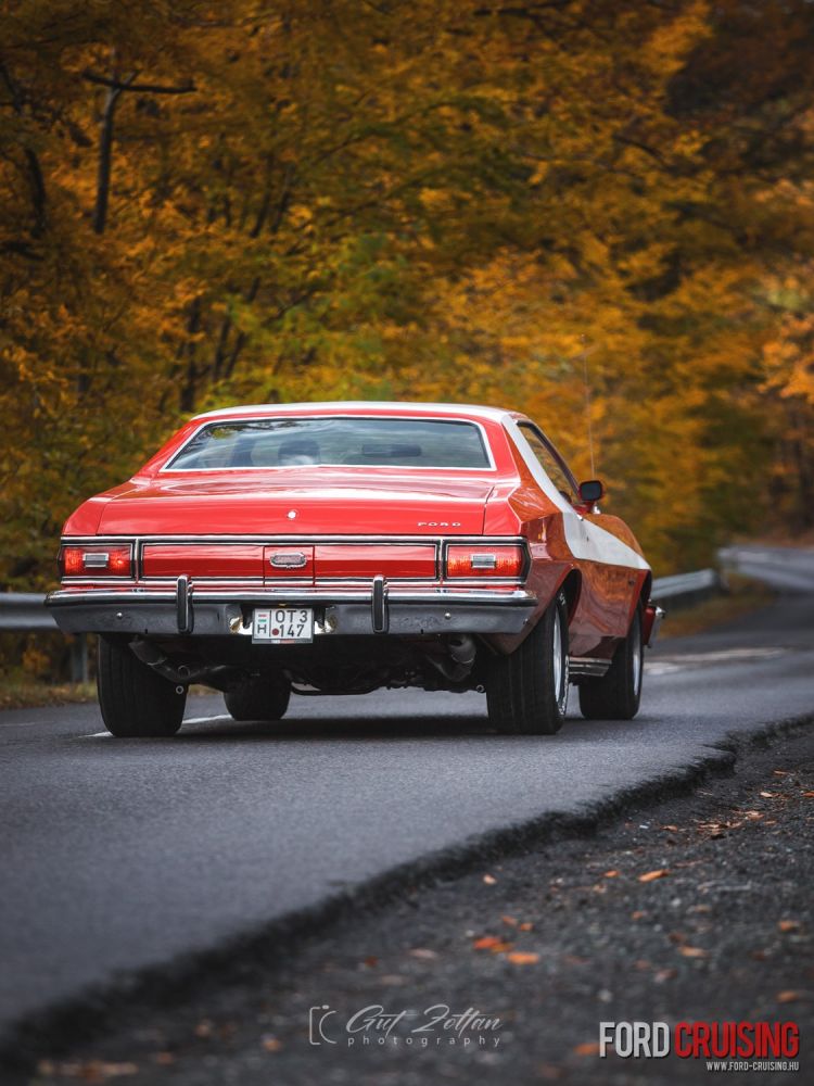 Fotó: Gut Zoltán Photography
