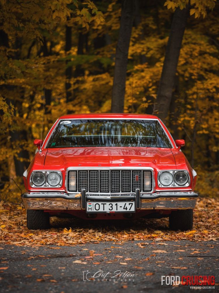 Fotó: Gut Zoltán Photography
