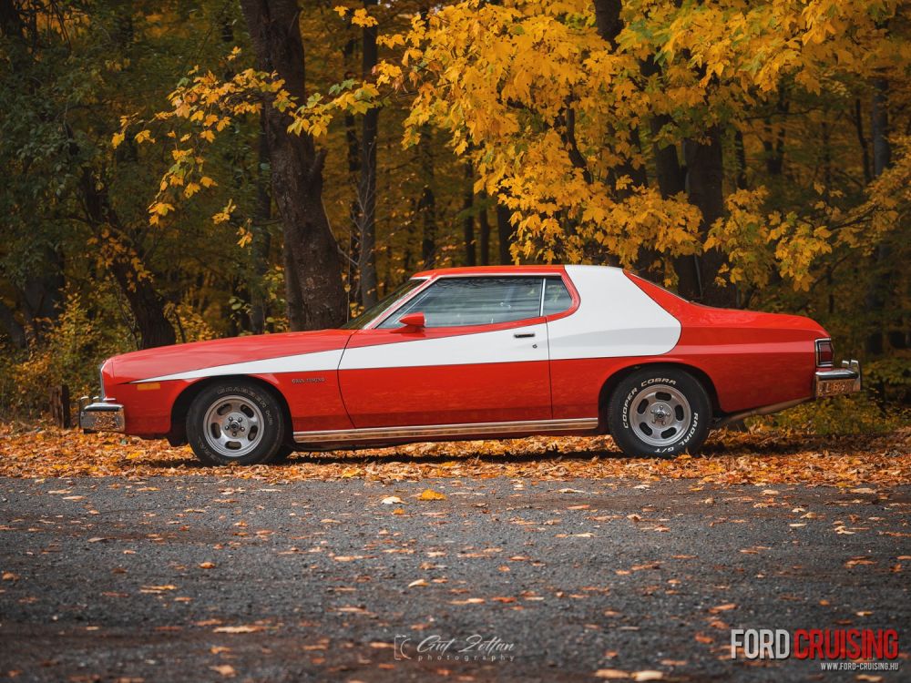 Fotó: Gut Zoltán Photography
