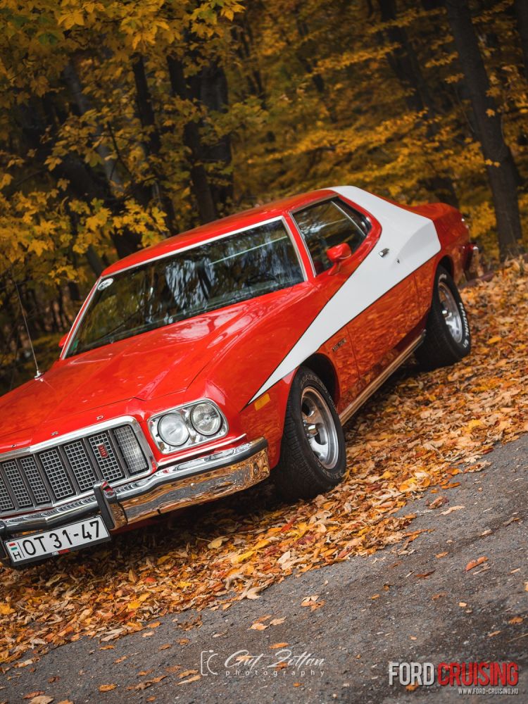 Fotó: Gut Zoltán Photography
