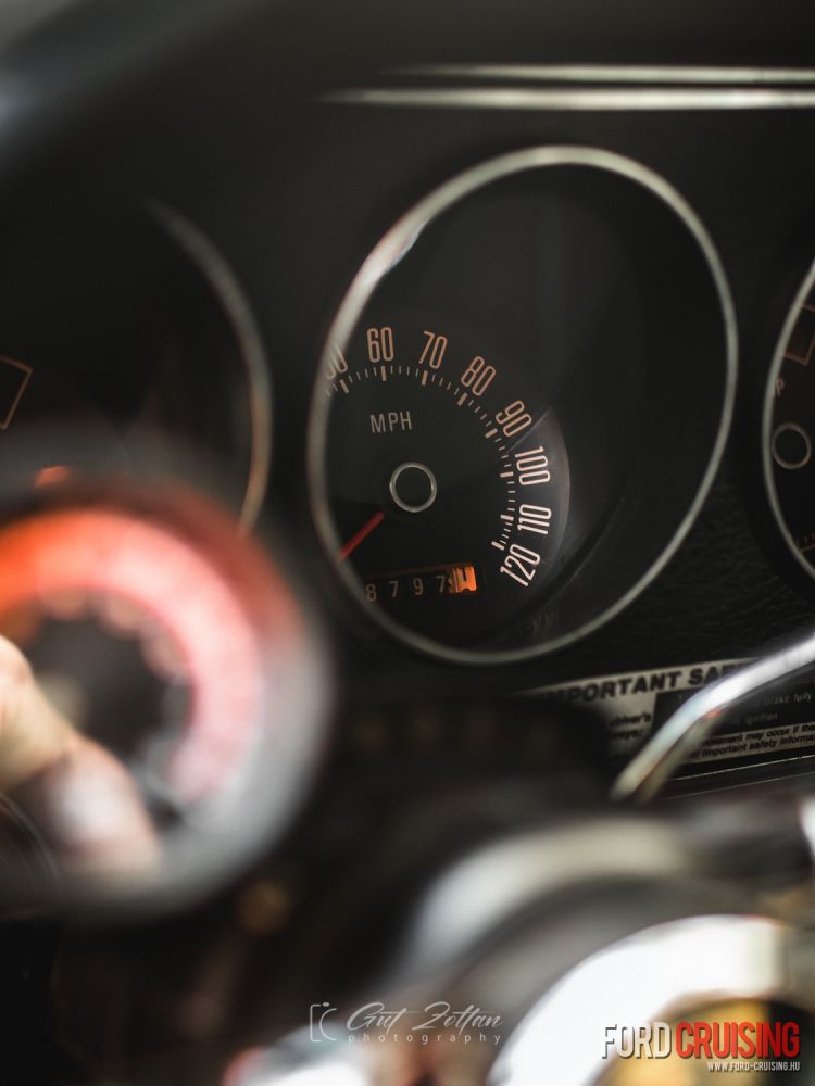 Fotó: Gut Zoltán Photography
