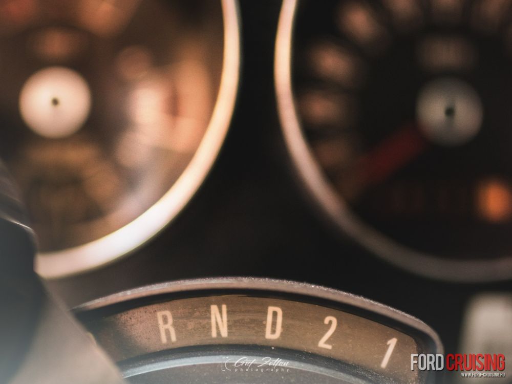 Fotó: Gut Zoltán Photography
