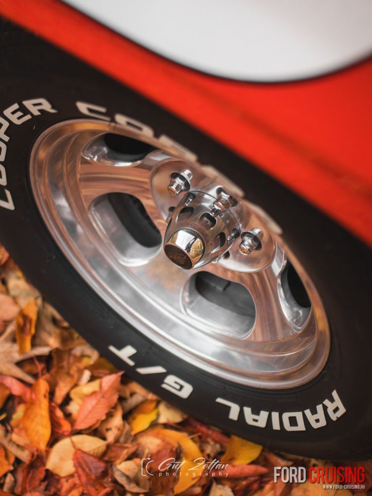 Fotó: Gut Zoltán Photography
