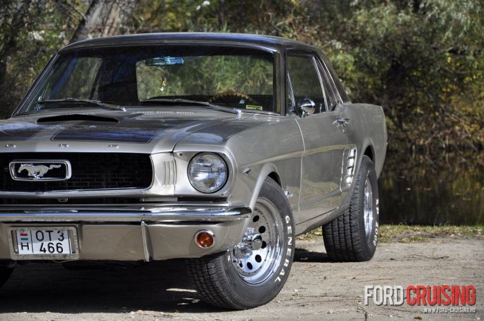 Stang001.jpg