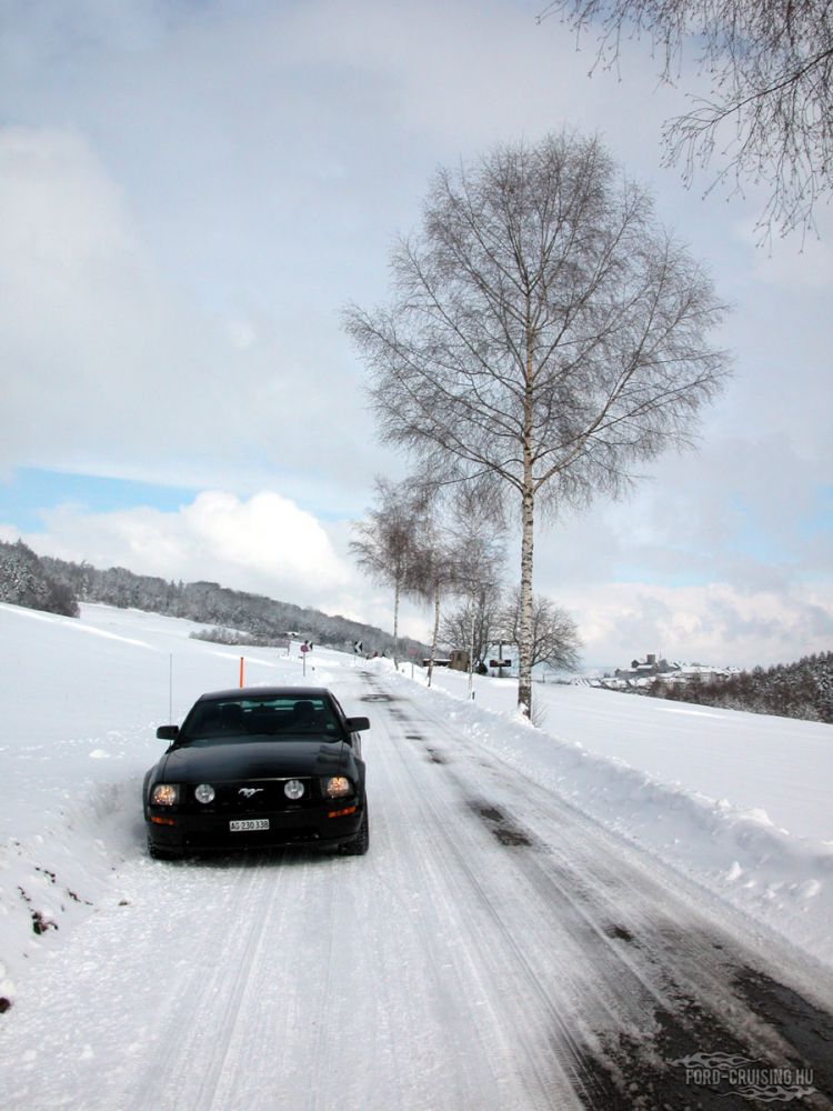 Kulcsszavak: Ford Mustang GT fekete black 2005