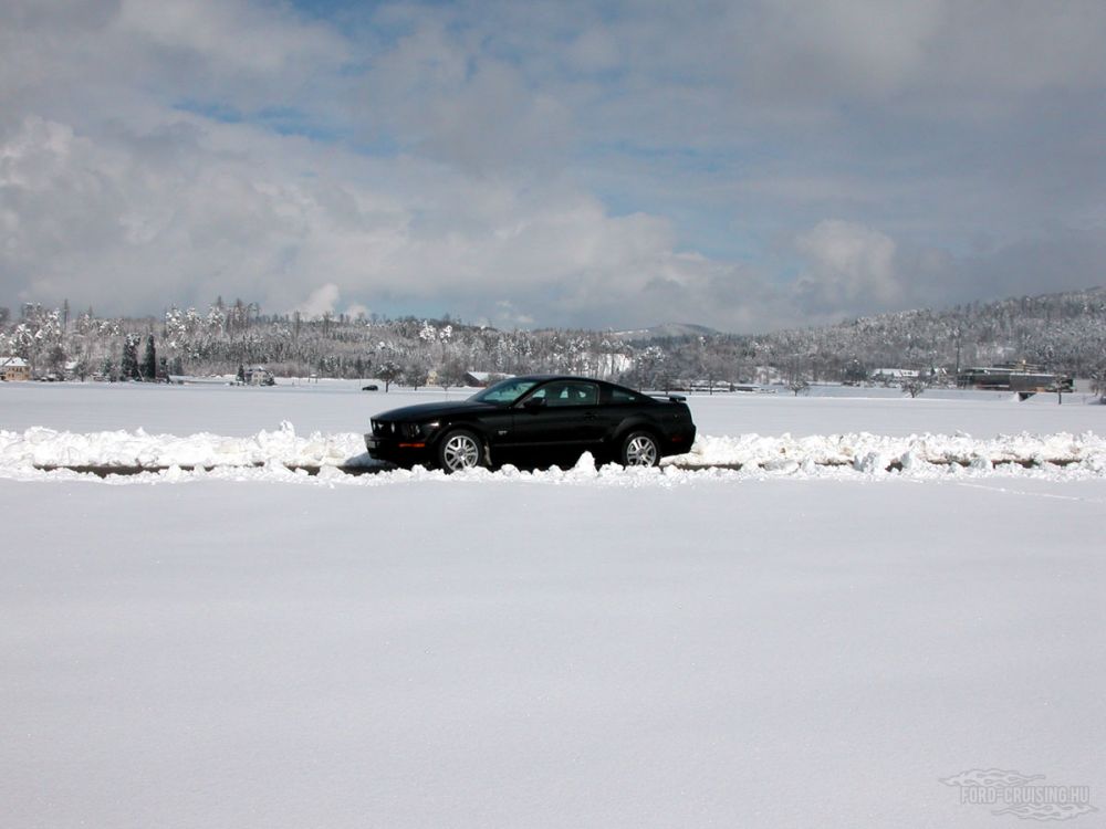 Kulcsszavak: Ford Mustang GT fekete black 2005
