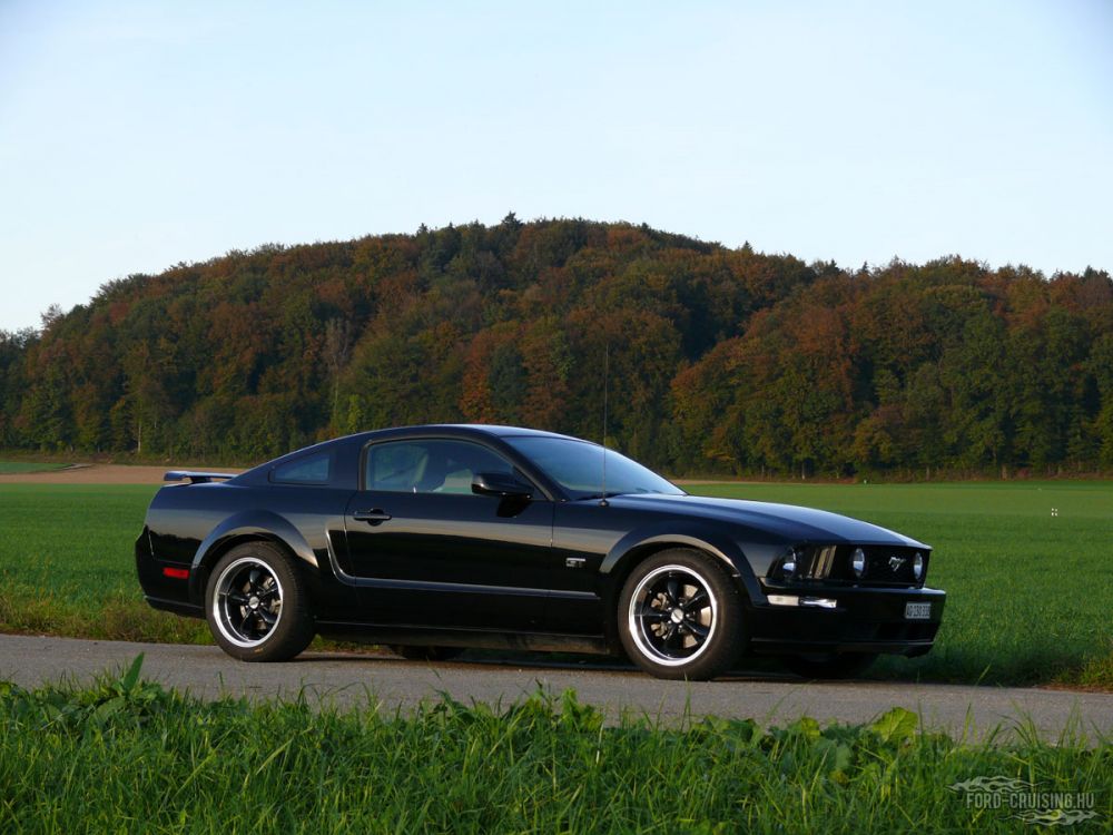 Kulcsszavak: Ford Mustang GT fekete black 2005