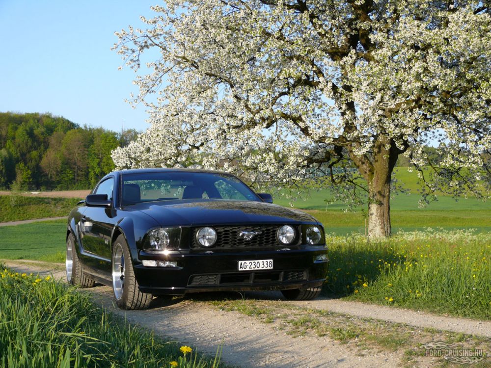 Kulcsszavak: Ford Mustang GT fekete black 2005